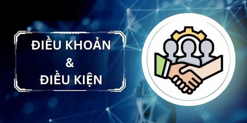 Tầm quan trọng của việc hiểu điều khoản điều kiện