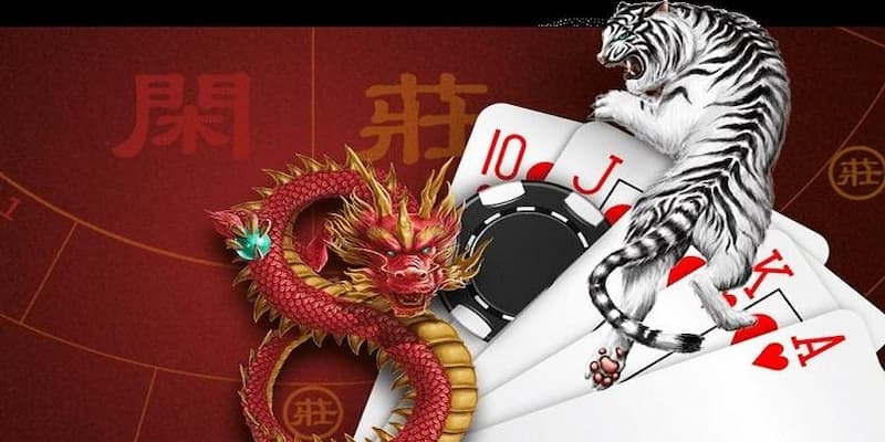 cách chơi rồng hổ Mẹo trong cách chơi rồng hổ nâng cao