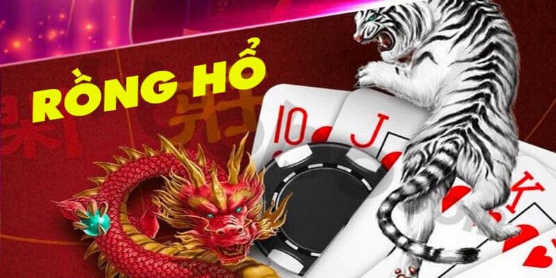 cách soi cầu rồng hổ Hướng dẫn chi tiết cách soi cầu rồng hổ tại Manclub