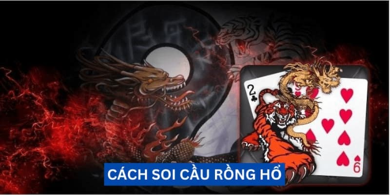 Tổng quan cách soi cầu rồng hổ